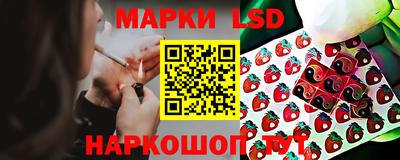 прущие грибы Дубна