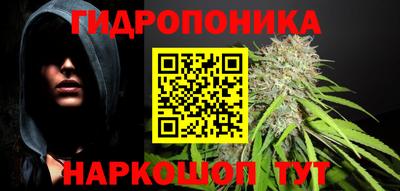 прущие грибы Дубна