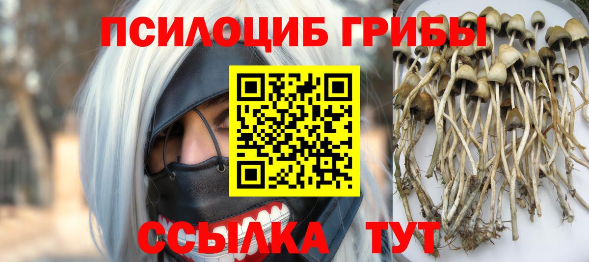 где продают   Вход с VPN  Десногорск  Псилоцибиновые грибы Psilocybe 